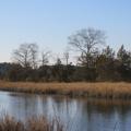 Photo 3 of Pagan Creek Dike