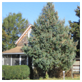 Photo 2 of Anna Hazzard Museum