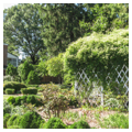 Photo 2 of Garden