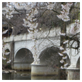 Photo 3 of Van Buren Street Bridge and Aqueduct