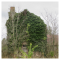 Photo 2 of Eratt House