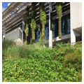 Photo 2 of Pérez Art Museum Miami