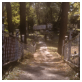 Photo 3 of Paradise Garden