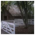 Barn