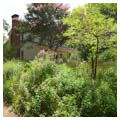 Garden, Tullie Smith House