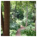 Quarry garden