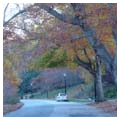 Photo 3 of Druid Hills