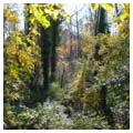 Photo 4 of Druid Hills