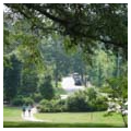 Old bridle path