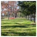 Old trolley line right-of-way