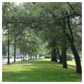 Old trolley line right-of-way