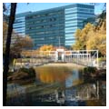 Photo 6 of Concourse Corporate Center