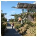 Roof garden