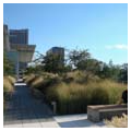 Roof garden