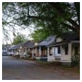 Mill housing, Ivy Street