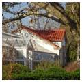 Greenhouse