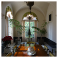 Palm room