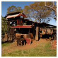 Photo 10 of Kona Coffee Living History Farm (D. Uchida Coffee Farm)