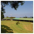 Photo 2 of Laupahoehoe Elementary and High School