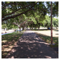 Photo 3 of Ala Moana Park