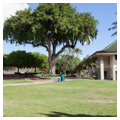 Photo 2 of Punahou School (Oahu College)
