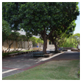 Photo 4 of Punahou School (Oahu College)