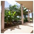 Photo 4 of Bachman Hall