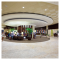Photo 3 of Sheraton Waikiki