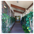 Photo 4 of Waikiki-Kapahulu Library