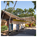 Photo 4 of Kapiolani Park Zoo