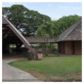 Photo 5 of Bishop Museum
