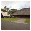 Photo 6 of Bishop Museum
