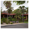 Photo 7 of Bishop Museum