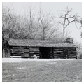 Louis Arriandeau Log Structure