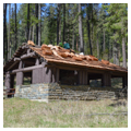 Ongoing preservation