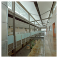 Atrium