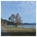 Photo 12 of Trail of the Coeur d’Alenes