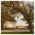 Twenty-Acre Dairy Barn, looking south