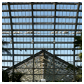 Roofs, Palm House (top), Fern Room (bottom)