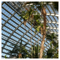 Interior, Palm House