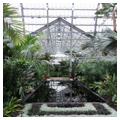 Photo 9 of Garfield Park Conservatory