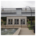 Photo 10 of Garfield Park Conservatory