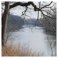 Des Plaines River