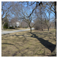 Longcommon Road median