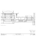 Longitudinal Section