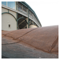 Photo 6 of Wrigley Field