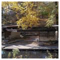Photo 2 of Alfred Caldwell Lily Pool