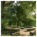 Photo 3 of Alfred Caldwell Lily Pool