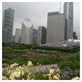 Lurie Garden