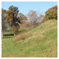 Monks Mound, First Level